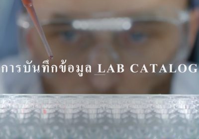 การบันทึกข้อมูล lab catalog เพื่อการเบิกจ่ายในระบบโปรแกรมของ สปสช.